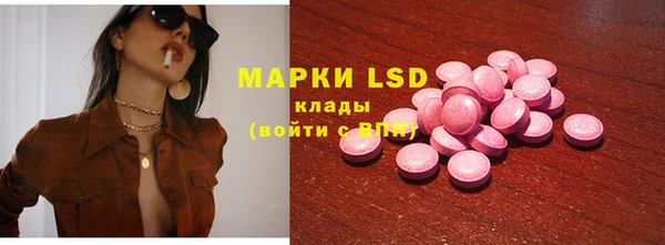 ECSTASY Инсар