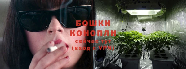 ECSTASY Инсар