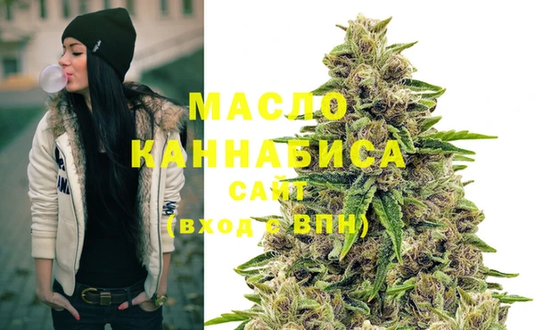 ECSTASY Инсар
