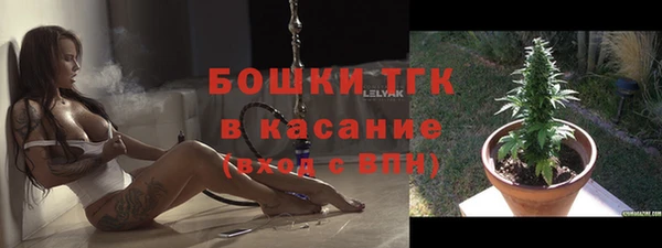 ECSTASY Инсар