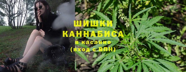 меф Инта