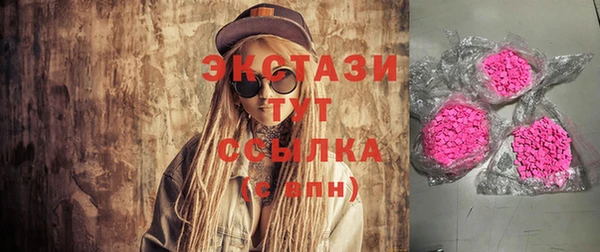 ECSTASY Инсар