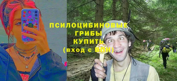 меф Инта