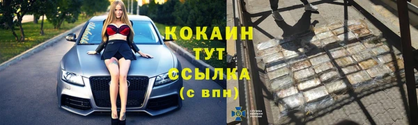 ECSTASY Инсар
