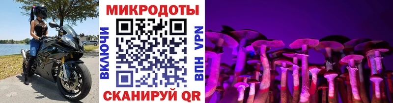 Псилоцибиновые грибы GOLDEN TEACHER  Купить  Весьегонск 